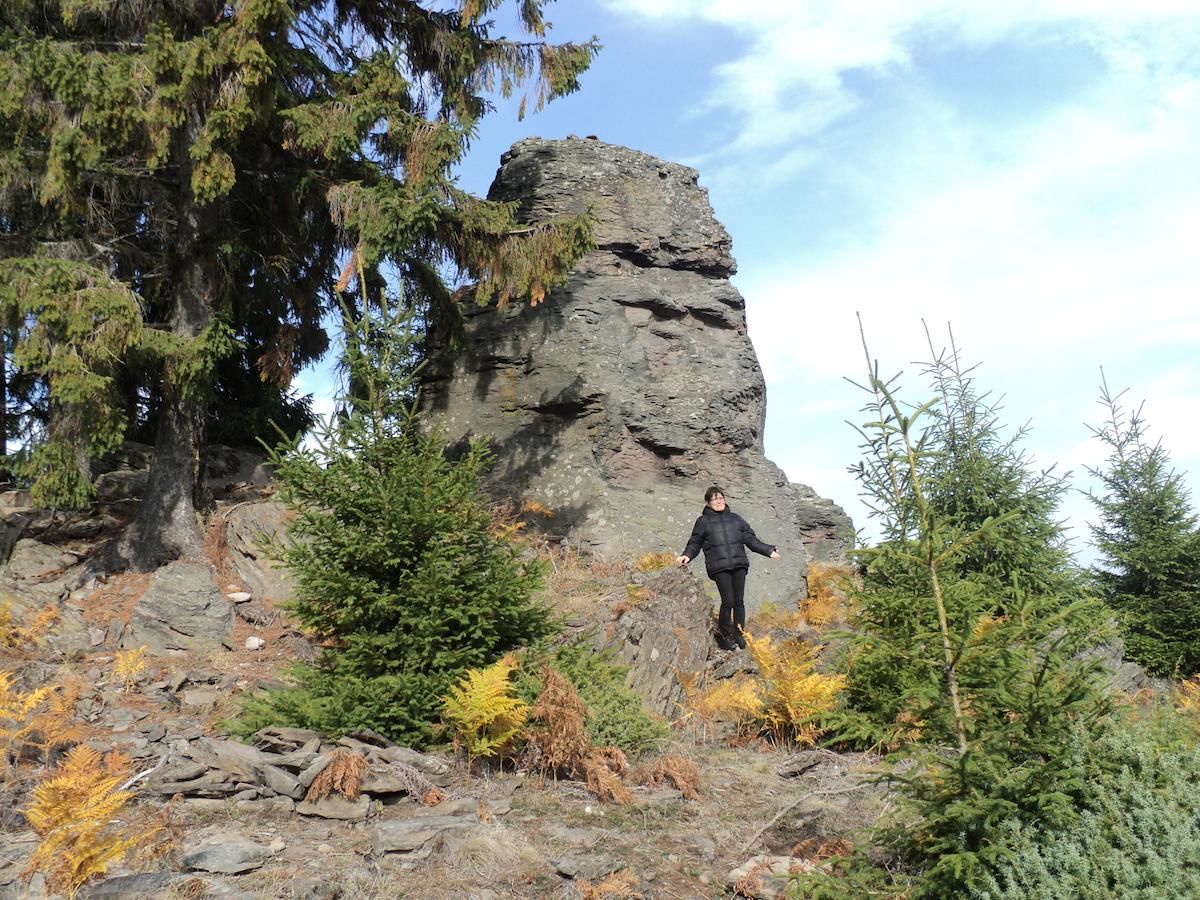 ОТЗЫВЫ Гостевой дом RANDEVÚ PANZIÓ Меркуря-Чук, 1255 реальных отзывов.