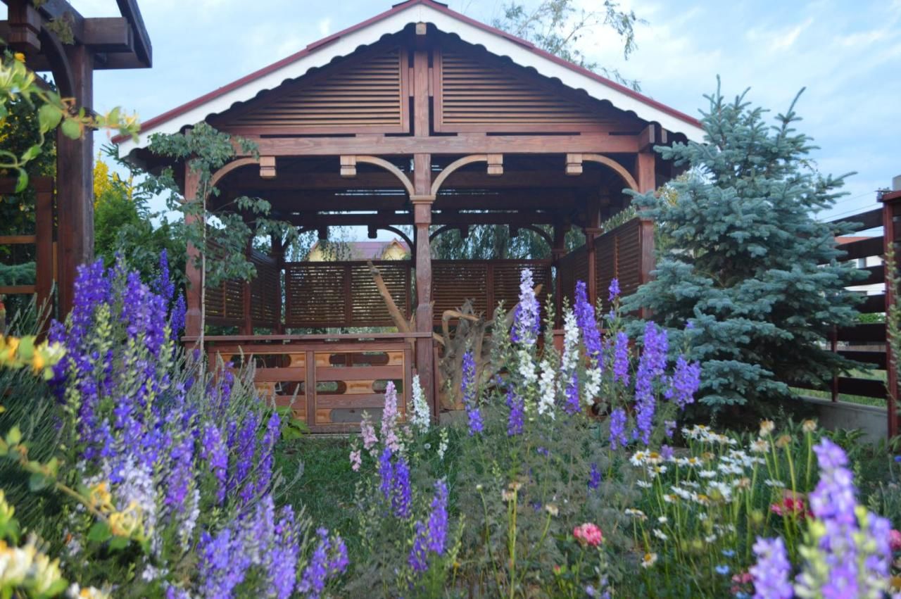 Комплексы для отдыха с коттеджами/бунгало Cabane de lemn Костинешти-9