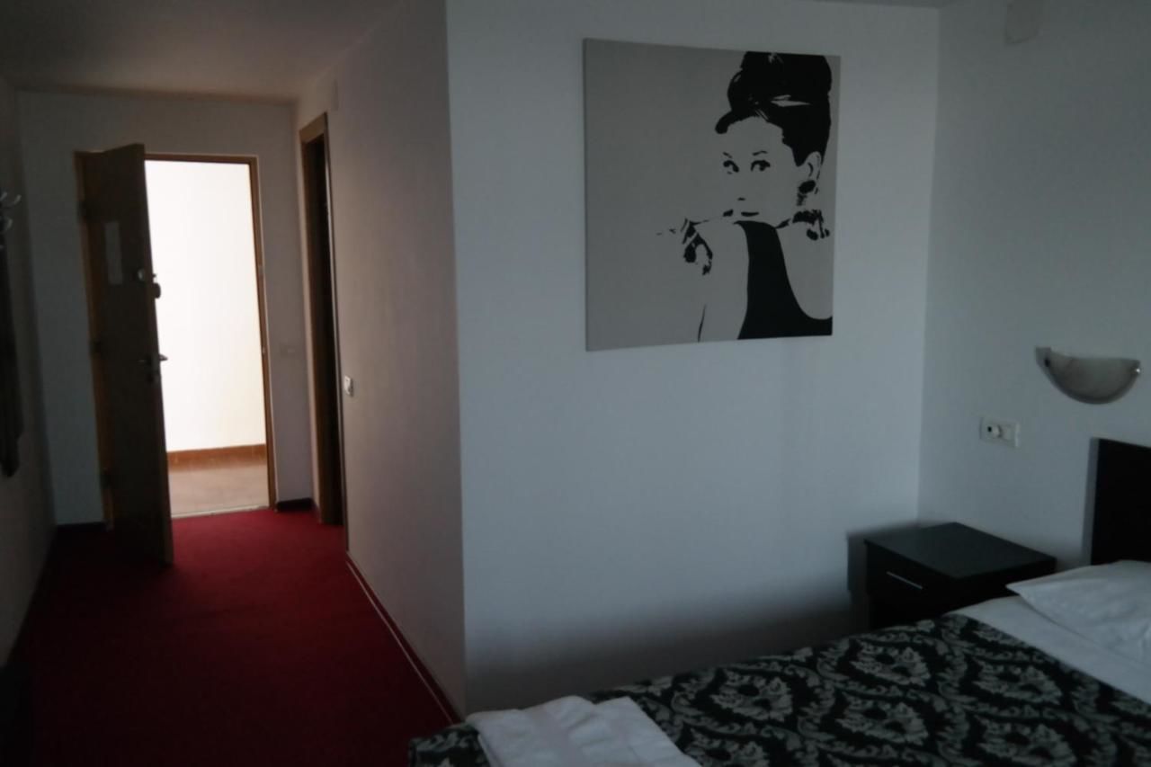 Мотели Motel Valentina Ion Roată-6