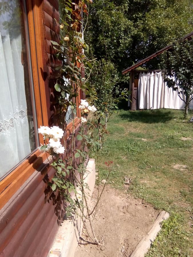 Гостевой дом Pensiunea Casa Bratia Băjeşti-27