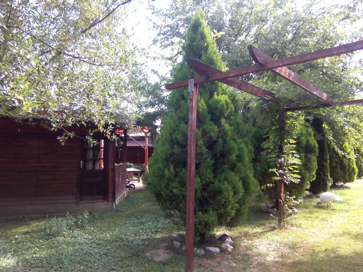 Гостевой дом Pensiunea Casa Bratia Băjeşti