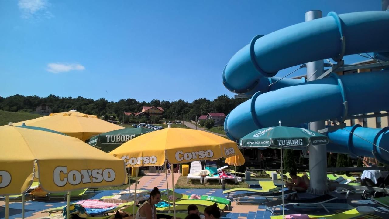 Baile отзывы. Baile отзывы. Сальса румба бачата. Baile отзывы. Baile olanesti rom.