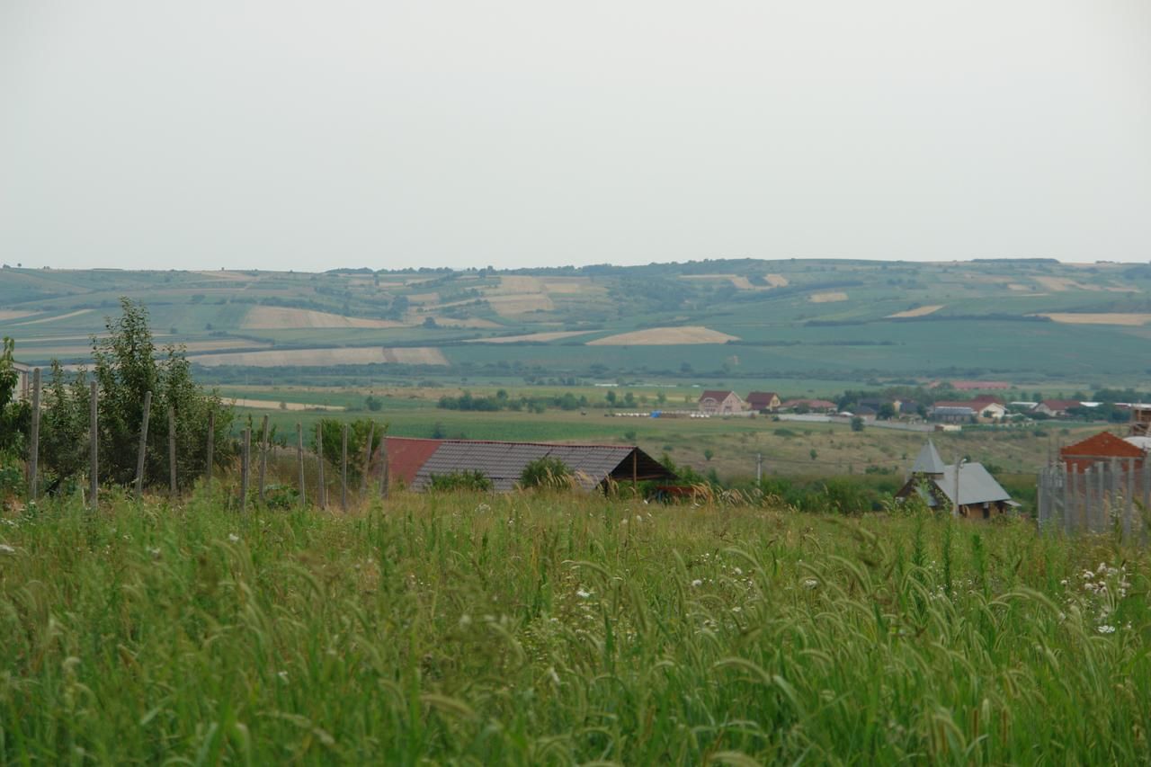 Гостевой дом Casa Tomson Орадя