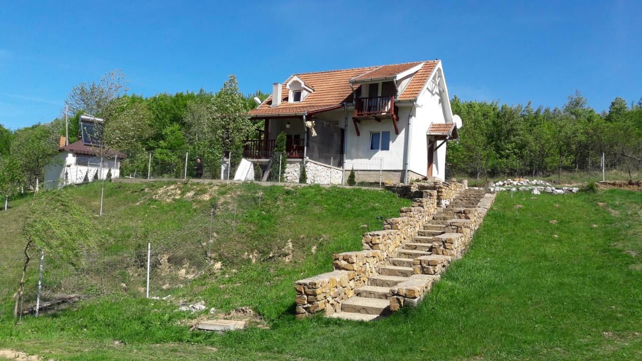 Дома для отпуска Casa Vladimir Cucuceni-4