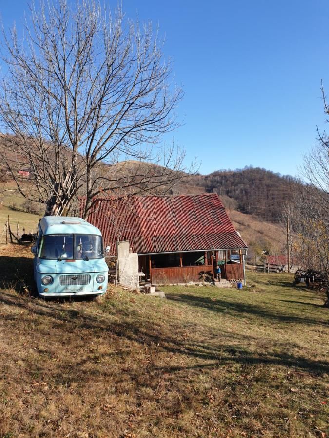 Кемпинги Camping de lux Cluj Napoca Muntele Săcelului-14