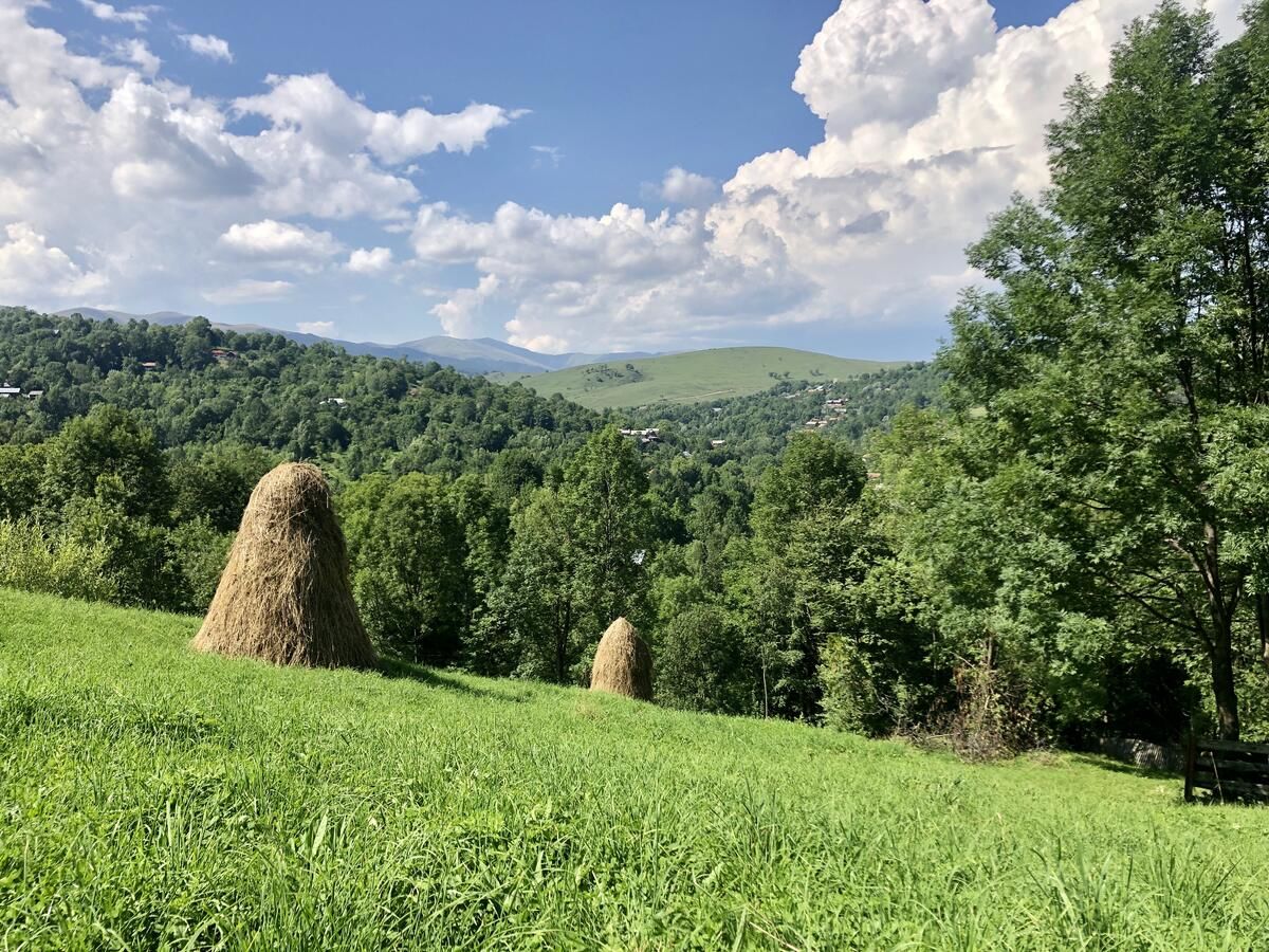 Шале Conacul Secaria Secăria-19