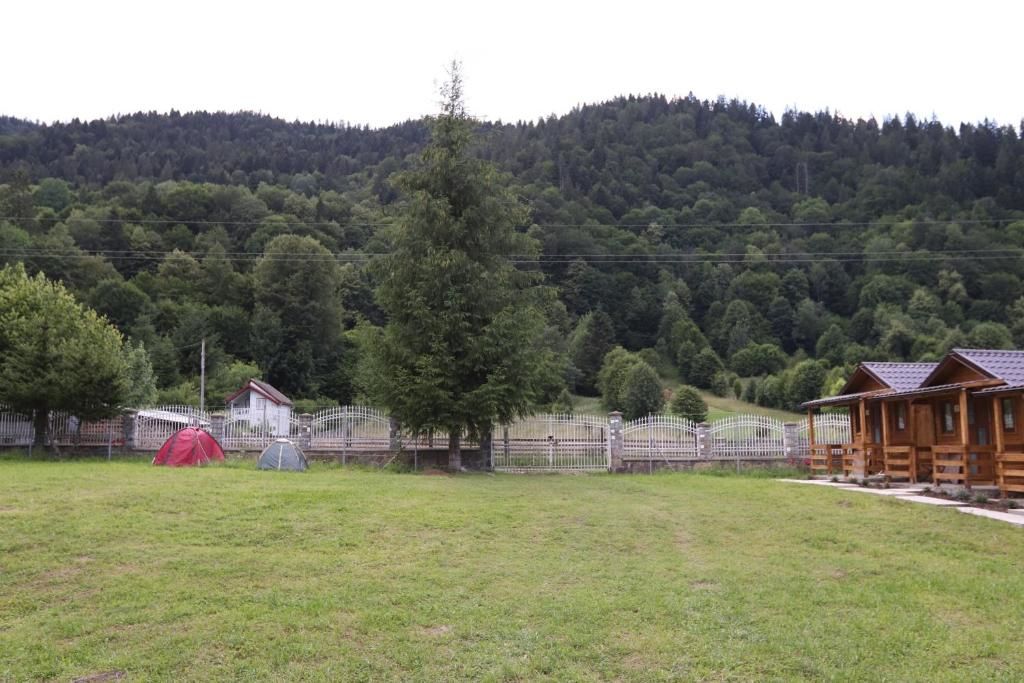 Виллы Tarcau Poiana Soarelui - Cabanute - Camping Tarcău