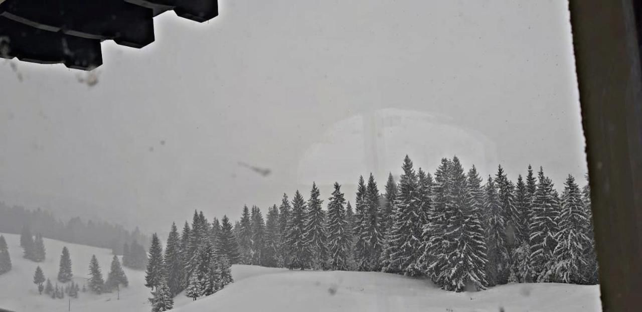 Дома для отпуска Bucovina Sky View Гура-Гуморулуй-18