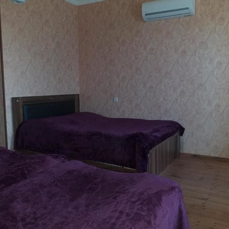 Гостевой дом Tsminda Giorgi Apartment Сигнахи-55