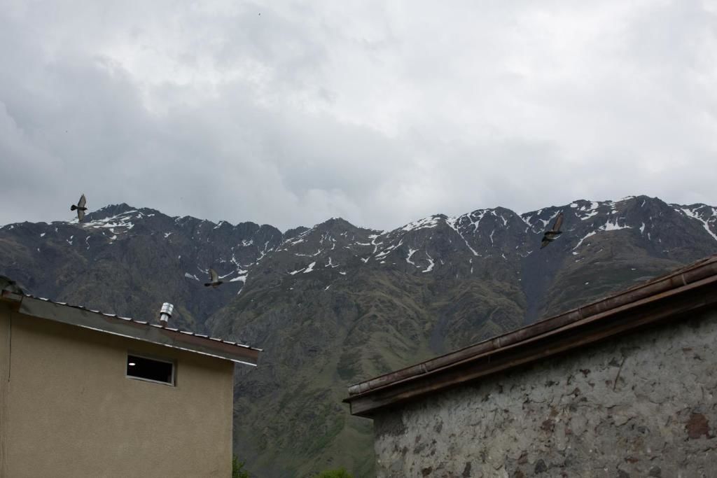 Гостевой дом Panorama Kazbegi Степанцминда