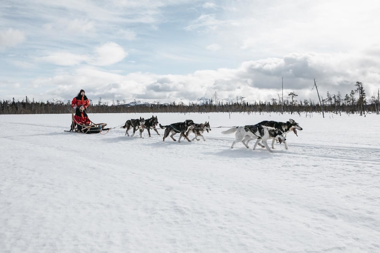 Отель Lapland Hotels Riekonlinna Саариселькя