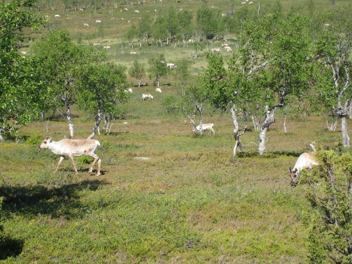 Дома для отпуска Saariselän Marjamajat Саариселькя-42