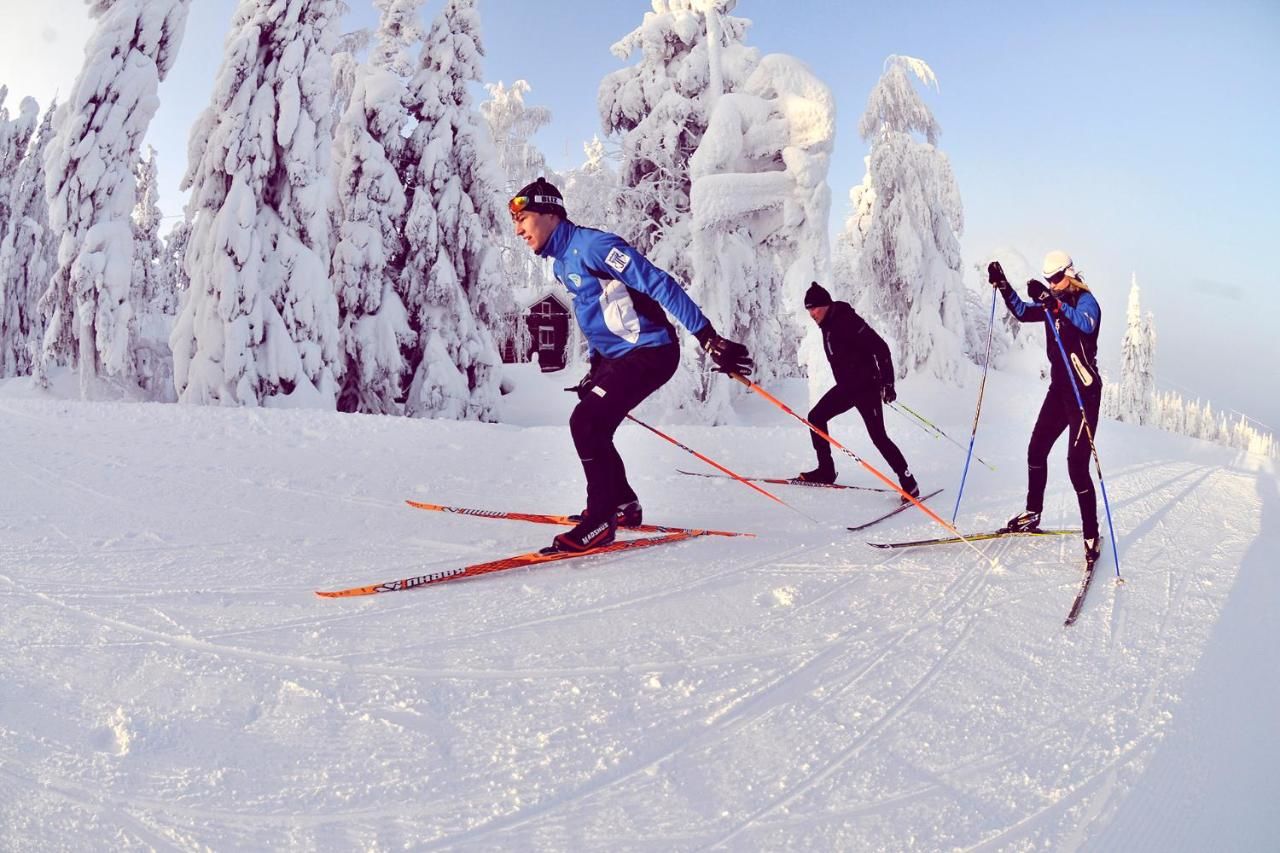 спорт в финляндии