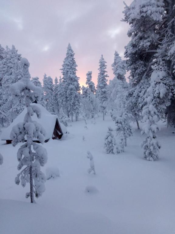 Шале Chalet Arran- Mainiot Majat Саариселькя-85