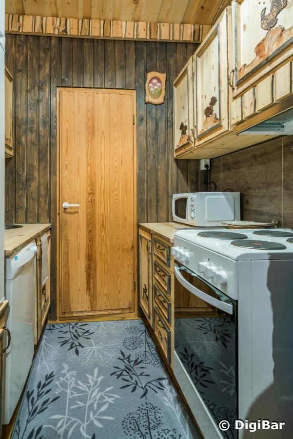 Дома для отпуска Polar Aurora Cabins Саариселькя