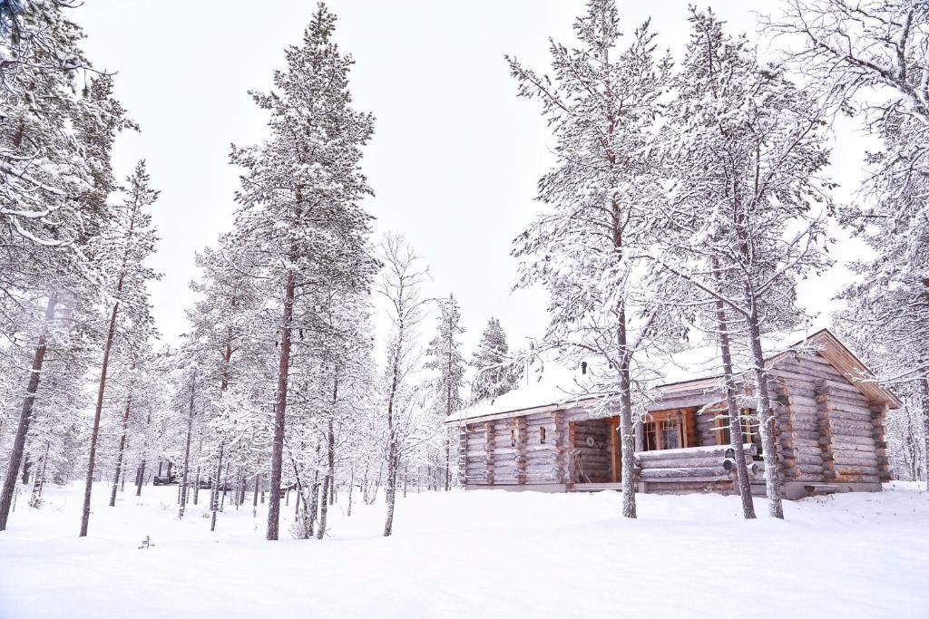 Шале Chalet Kuukkeli AuroraCabins Саариселькя-43