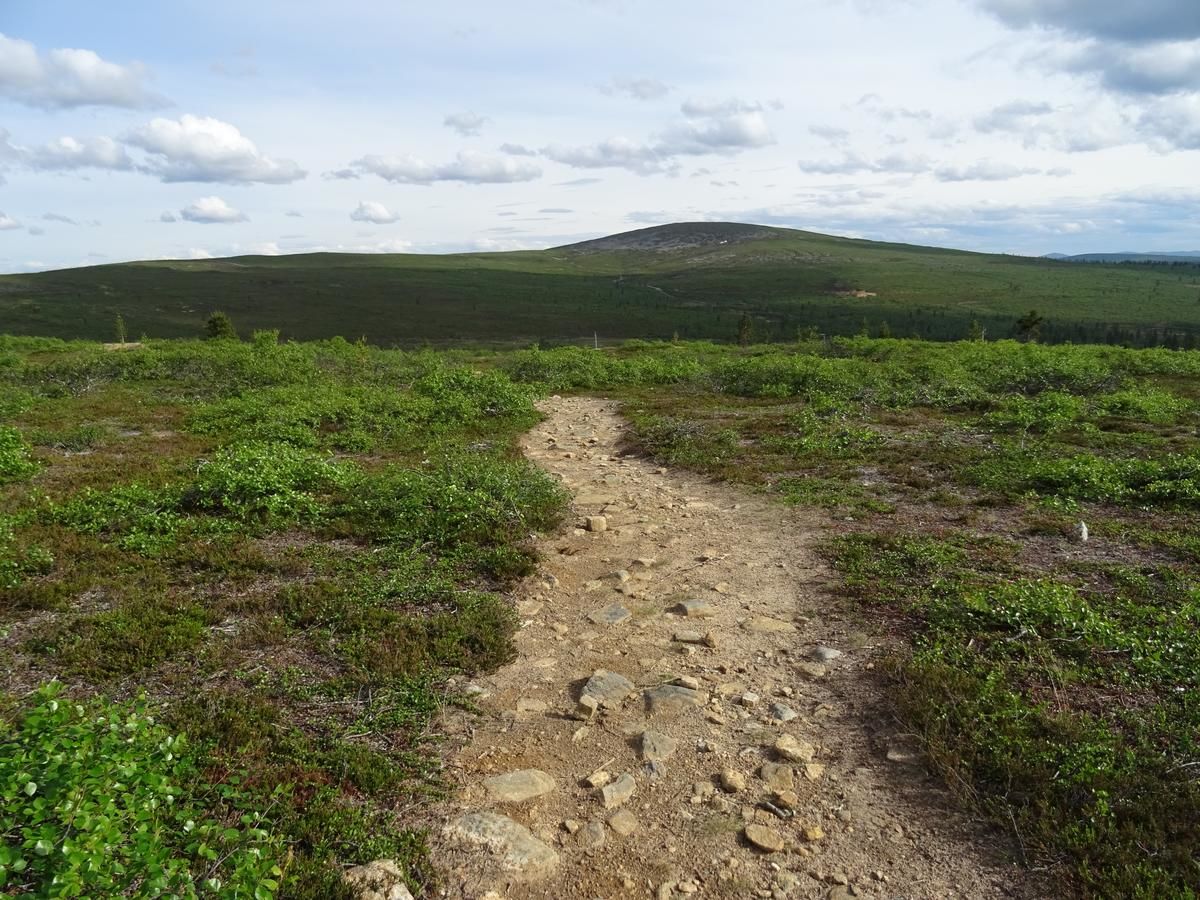 Виллы Arctic Sky Lapland Саариселькя-31