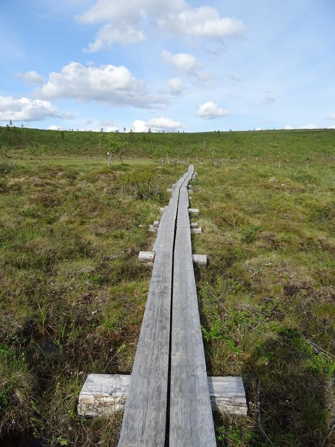 Виллы Arctic Sky Lapland Саариселькя-32