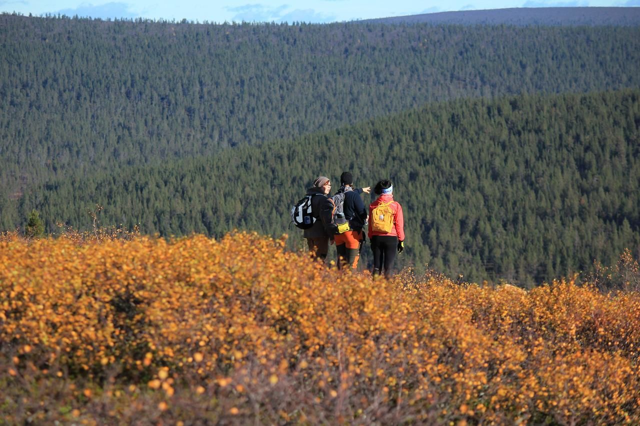 Виллы Arctic Sky Lapland Саариселькя-36