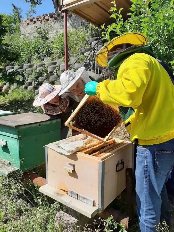 Шале ARMBEE Honey Farm Алаверди