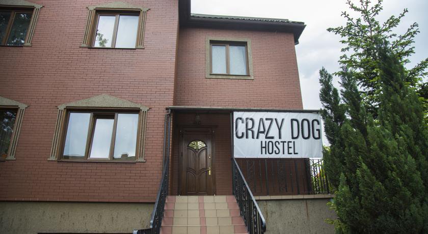 Гостиница Crazy Dog Hostel Калининград