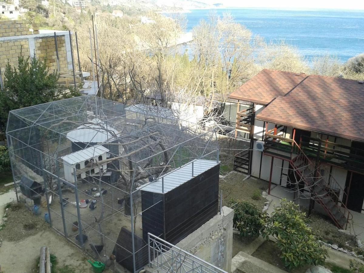 ОТЗЫВЫ Гостевой дом ЛАВРОВЫЙ САД Алупка, 1255 реальных отзывов.