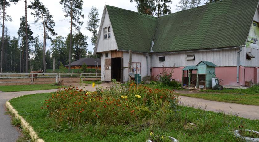 База отдыха спутник. Спутник Ивантеевка база. База Спутник Королев. Турбаза Спутник Королев. Дом отдыха Спутник Королев.