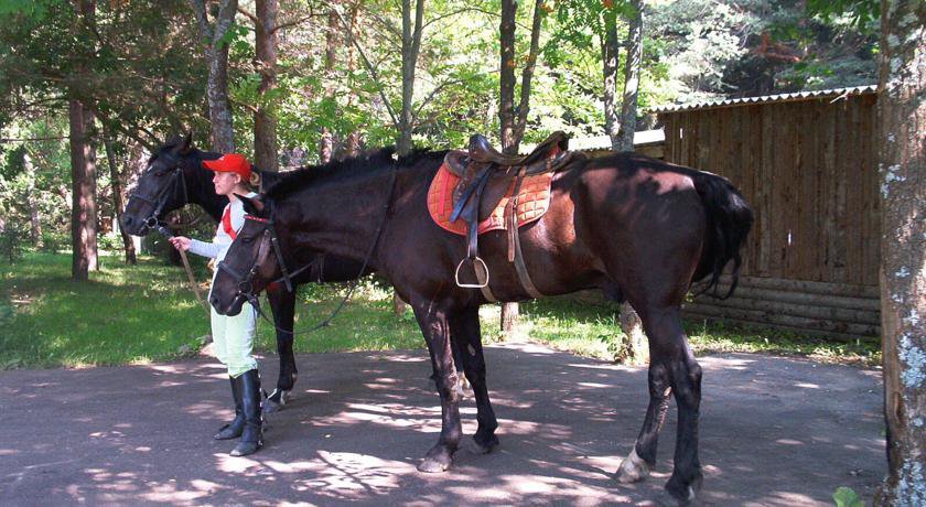 Гостиница Пансионат Акварели Верея