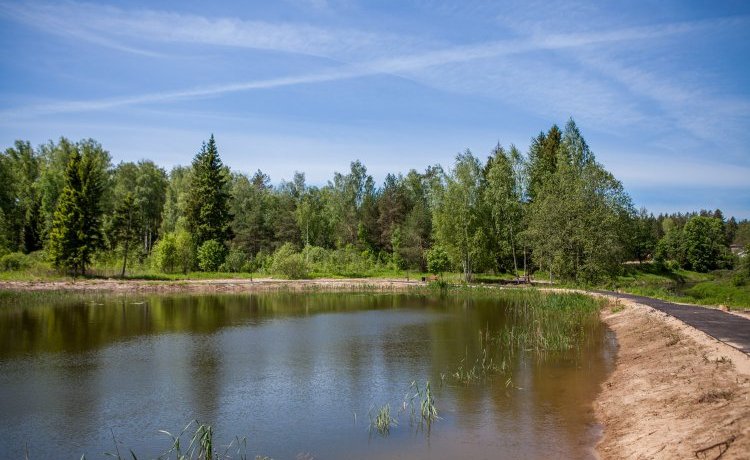 Талдом городское озеро