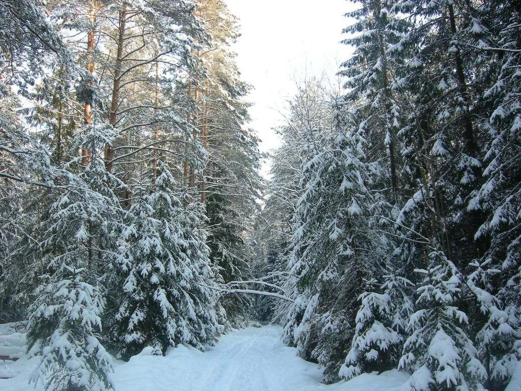 Загородные дома Paradis Боровляны