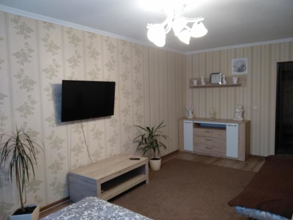 Апартаменты Apartment in Borovlyany Боровляны-18