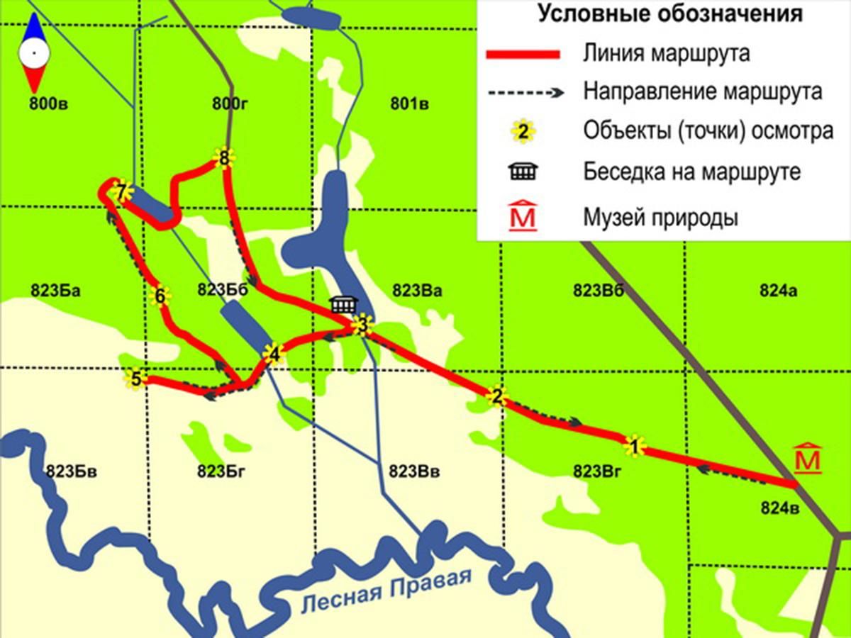 Беловежская пуща карта заповедника