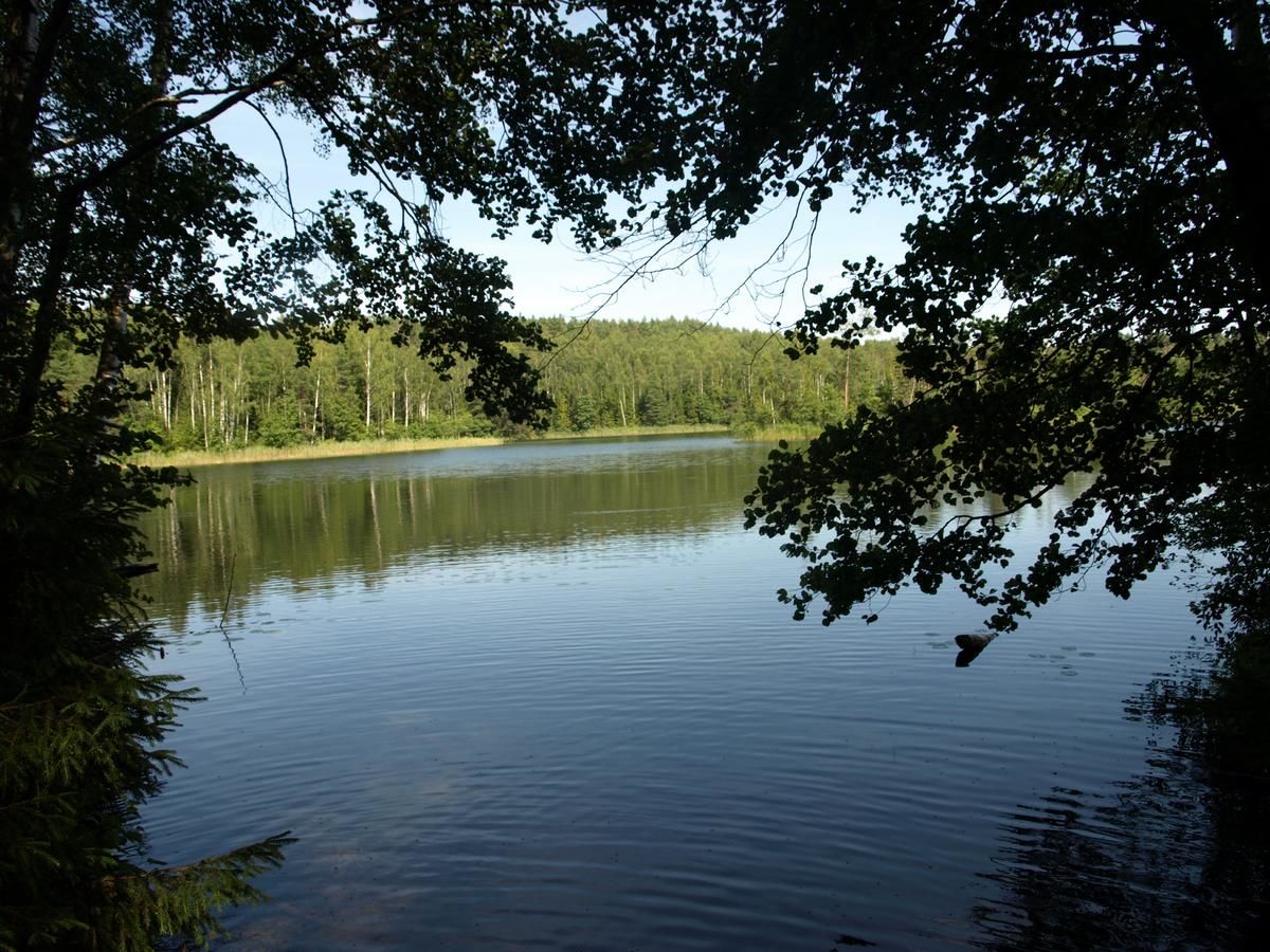 Мядель озеро домики Беларусь