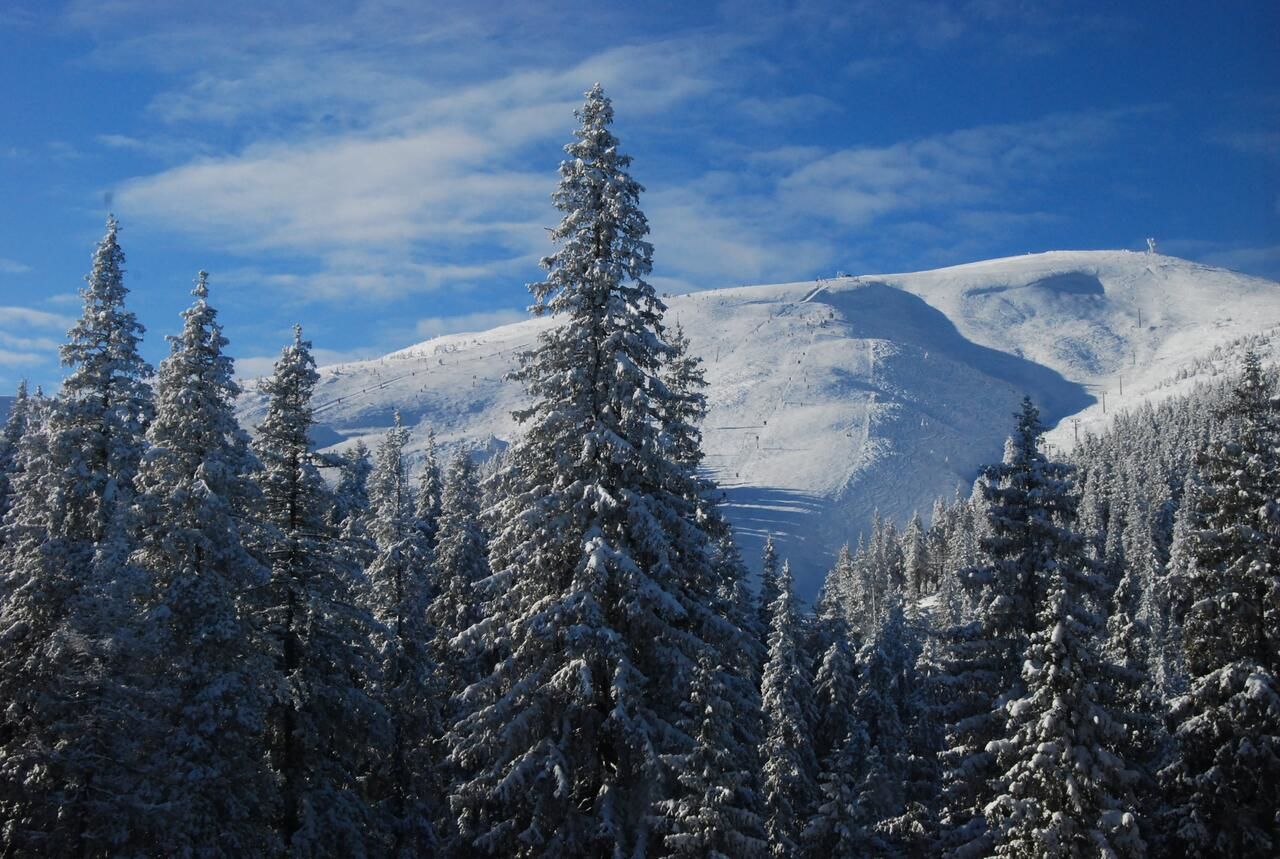 Веб драгобрат