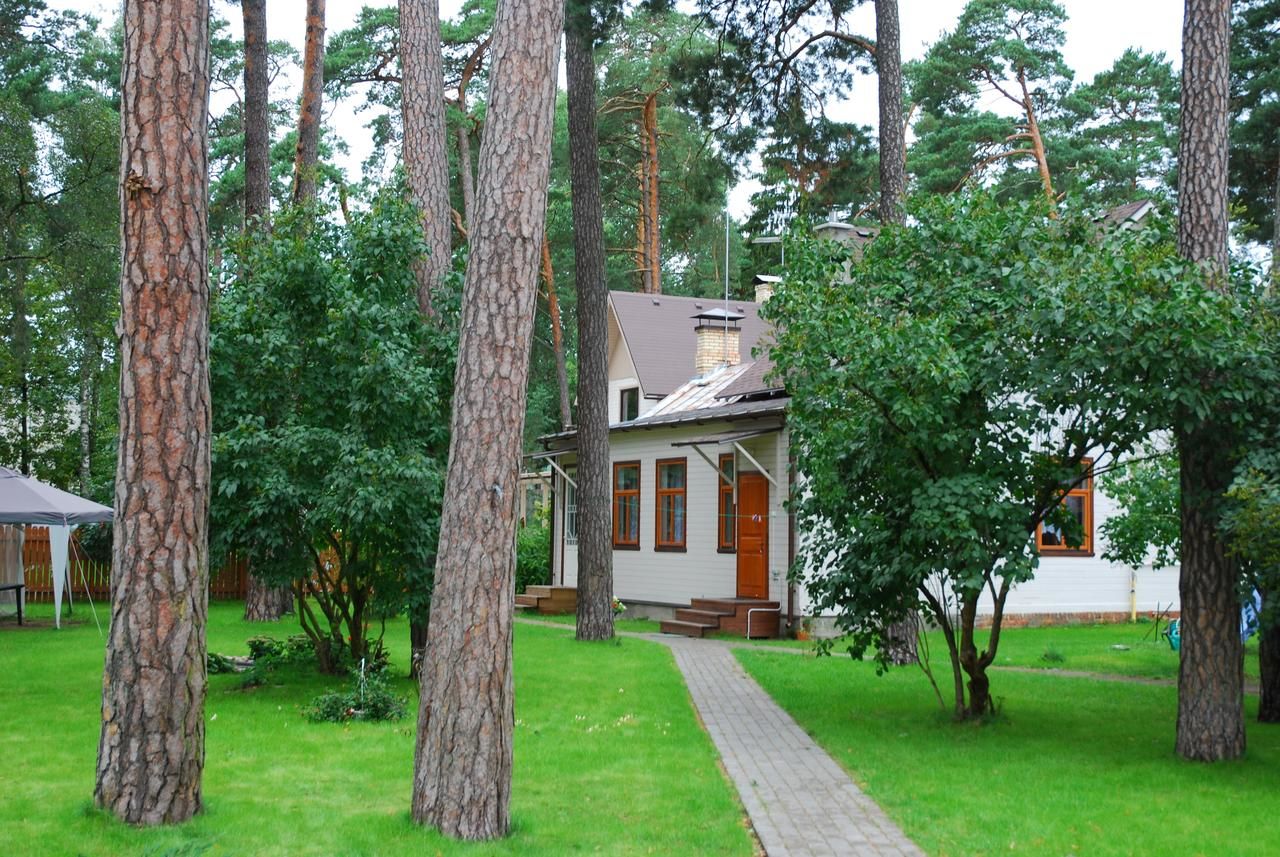 Дома для отпуска Amber Cottage Юрмала-4