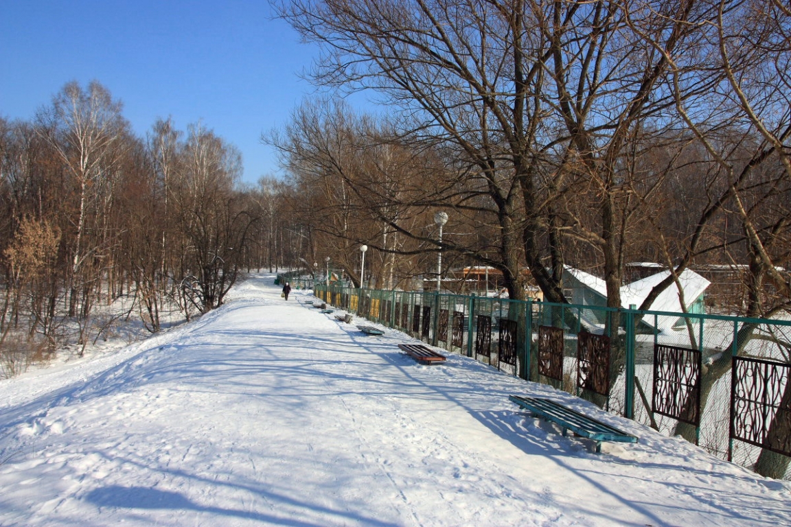 Белоусовский парк | интересное место в городе Тула