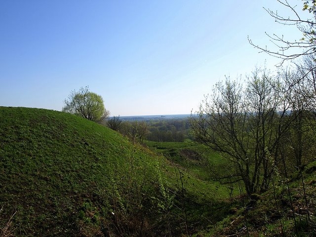 Чашин курган брянск фото