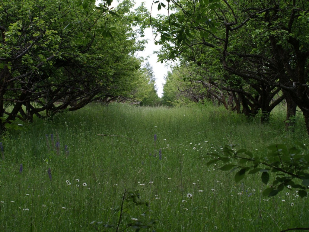 Археологический комплекс 