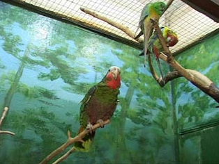 Смоленский зооэкзотариум