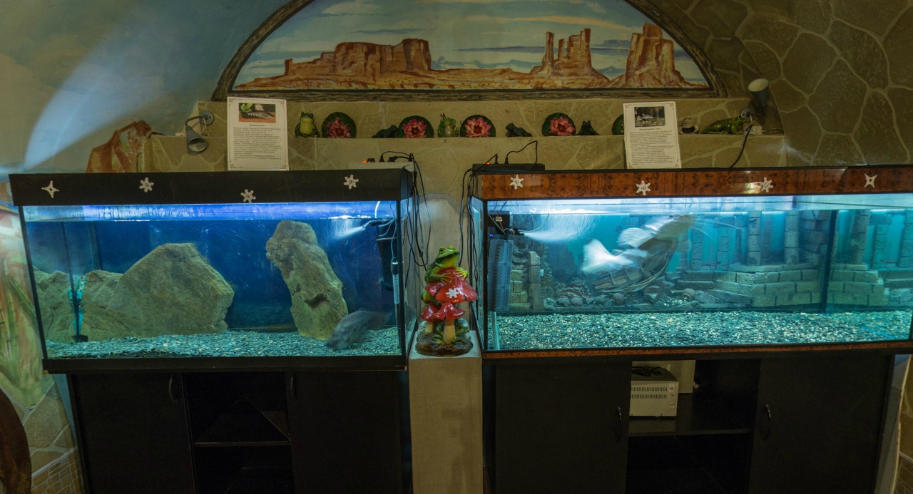 Выставочный зал 