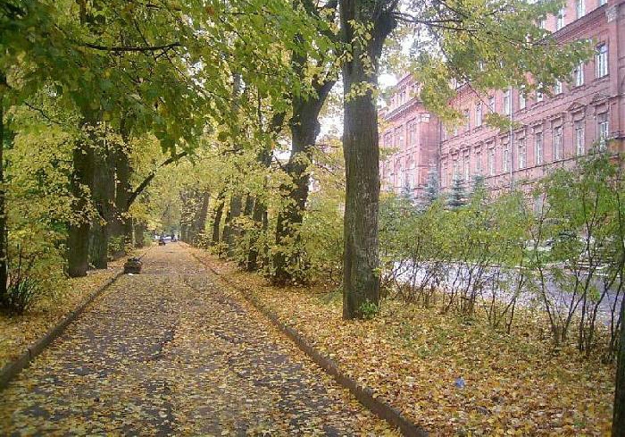 Березуйский овраг Калуга