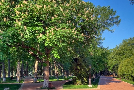Городской парк культуры и отдыха Калуга