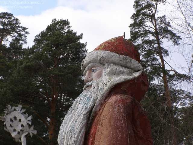 Калужский бор Калуга