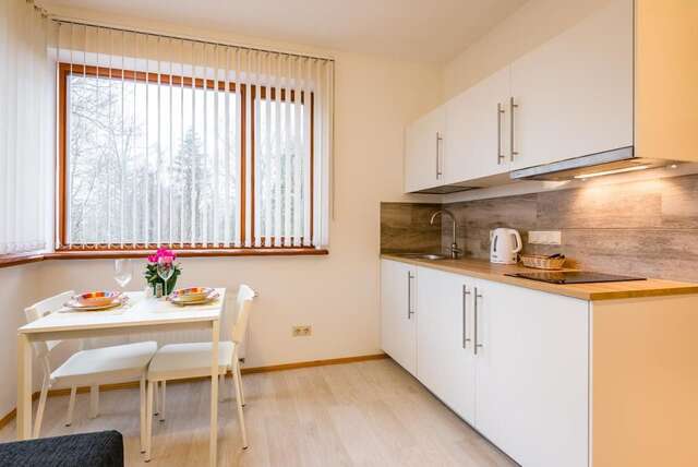 Апартаменты Riga Airport Jurmala apartments Рига-41