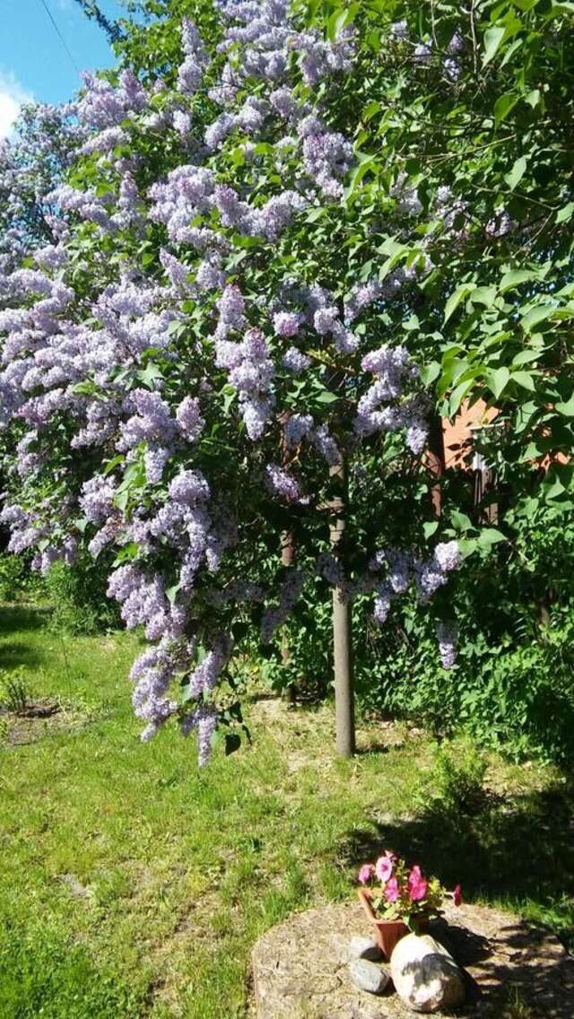 Загородные дома Searooms Лапмежциемс-37