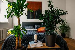 Апартаменты Charming design apartment at the heart of Riga Рига