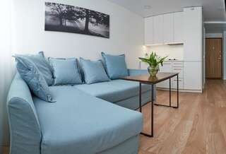 Апартаменты Cosy studio near Akropolis and Švyturio arena Клайпеда