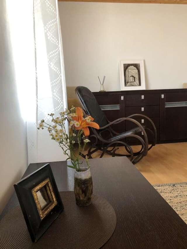 Апартаменты Trakai Old town Apartment Тракай-10