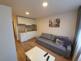 Апартаменты Akropolis Studio Клайпеда