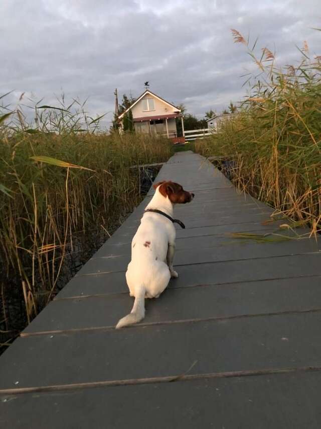 Дома для отпуска Sauna by the lake Шяуляй-6